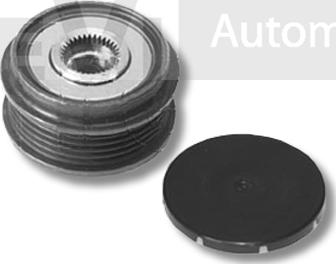 Trevi Automotive AP1063 - Riemenscheibe, Generator alexcarstop-ersatzteile.com