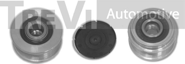 Trevi Automotive AP1008 - Riemenscheibe, Generator alexcarstop-ersatzteile.com