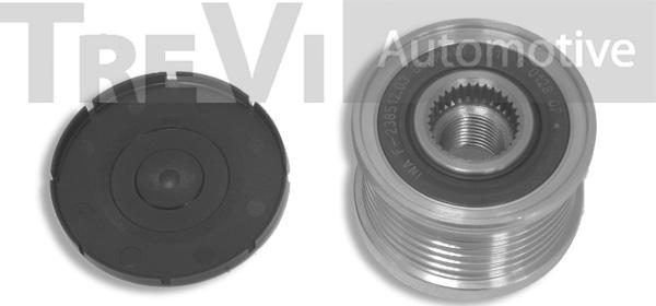 Trevi Automotive AP1114 - Riemenscheibe, Generator alexcarstop-ersatzteile.com