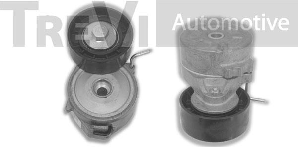 Trevi Automotive TA2162 - Riemenspanner, Keilrippenriemen alexcarstop-ersatzteile.com