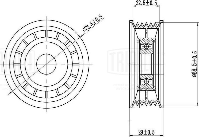 Trialli CM 1006 - Riemenspanner, Keilrippenriemen alexcarstop-ersatzteile.com