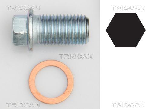 Triscan 9500 1012 - Verschlussschraube, Ölwanne alexcarstop-ersatzteile.com