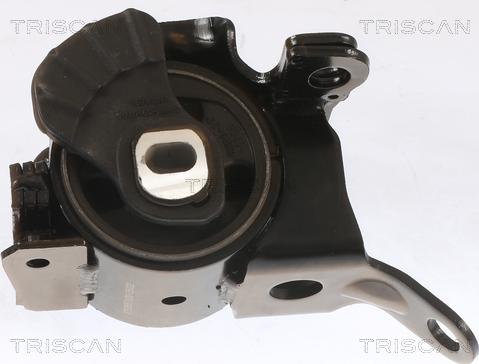 Triscan 8505 50100 - Lagerung, Motor alexcarstop-ersatzteile.com