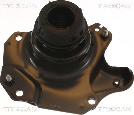 Triscan 8505 29150 - Lagerung, Motor alexcarstop-ersatzteile.com