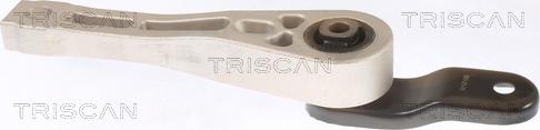 Triscan 8505 29109 - Lagerung, Motor alexcarstop-ersatzteile.com