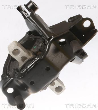 Triscan 8505 29103 - Lagerung, Motor alexcarstop-ersatzteile.com