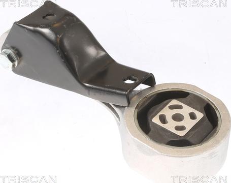 Triscan 8505 29120 - Lagerung, Motor alexcarstop-ersatzteile.com