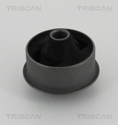 Triscan 8500 13834 - Lagerung, Lenker alexcarstop-ersatzteile.com