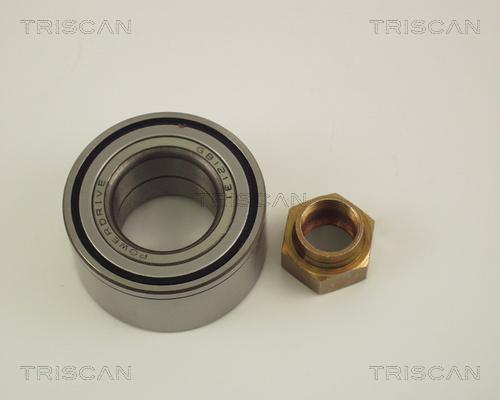 Triscan 8530 10110 - Radlagersatz alexcarstop-ersatzteile.com