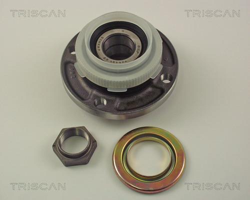 Triscan 8530 10222 - Radlagersatz alexcarstop-ersatzteile.com