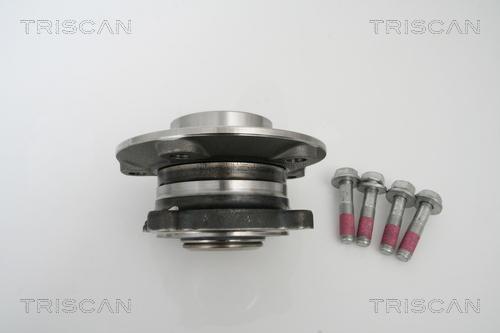 Triscan 8530 11113 - Radlagersatz alexcarstop-ersatzteile.com