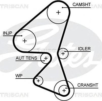 Triscan 8645 5657xs - Zahnriemen alexcarstop-ersatzteile.com