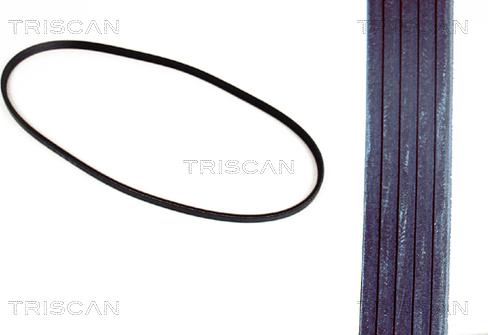 Triscan 8640 500913 - Keilrippenriemen alexcarstop-ersatzteile.com