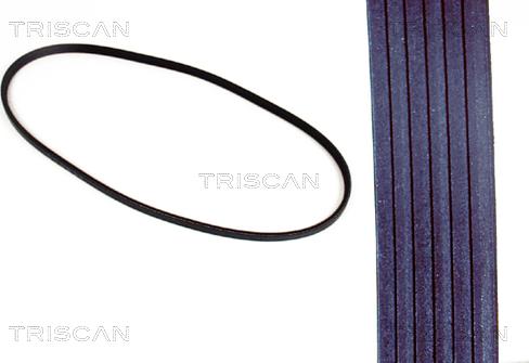 Triscan 8640 600925 - Keilrippenriemen alexcarstop-ersatzteile.com