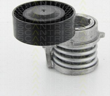 Triscan 8641 113016 - Riemenspanner, Keilrippenriemen alexcarstop-ersatzteile.com