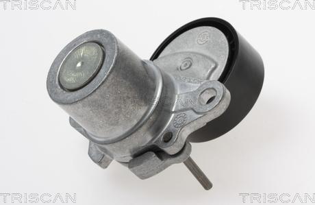 Triscan 8641 293055 - Riemenspanner, Keilrippenriemen alexcarstop-ersatzteile.com