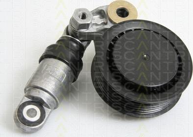 Triscan 8641 293030 - Riemenspanner, Keilrippenriemen alexcarstop-ersatzteile.com