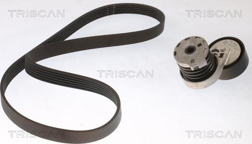 Triscan 8642 10019 - Keilrippenriemensatz alexcarstop-ersatzteile.com