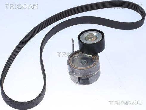 Triscan 8642 10022 - Keilrippenriemensatz alexcarstop-ersatzteile.com