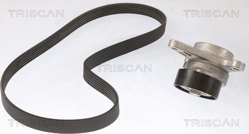 Triscan 8642 29026 - Keilrippenriemensatz alexcarstop-ersatzteile.com