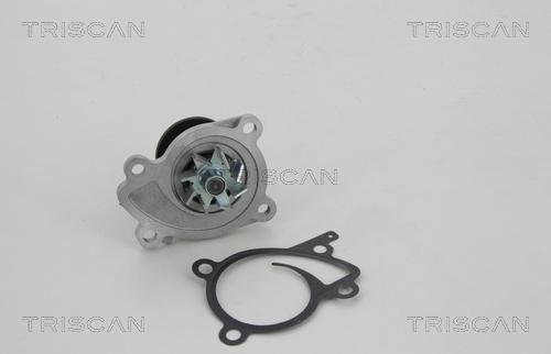 Triscan 8600 10071 - Wasserpumpe alexcarstop-ersatzteile.com