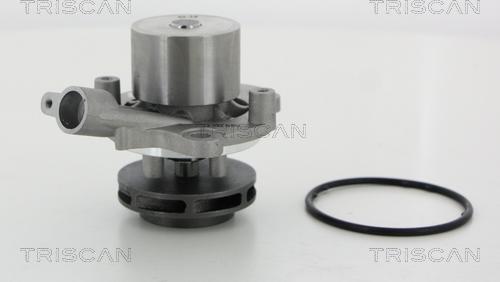 Triscan 8600 29065 - Wasserpumpe alexcarstop-ersatzteile.com