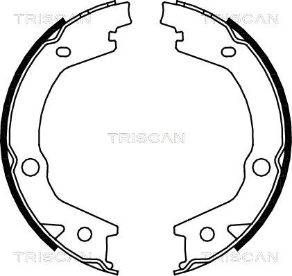 Triscan 8100 43020 - Bremsbackensatz, Feststellbremse alexcarstop-ersatzteile.com