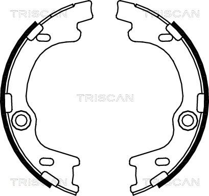 Triscan 8100 43021 - Bremsbackensatz alexcarstop-ersatzteile.com