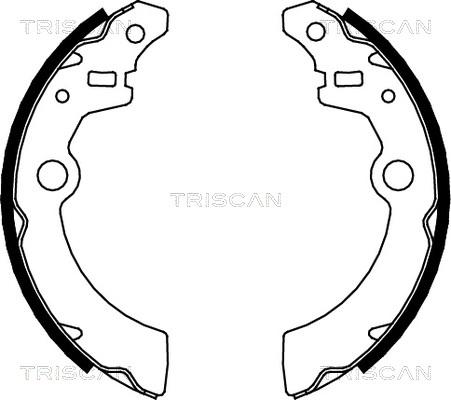 Triscan 8100 69001 - Bremsbackensatz alexcarstop-ersatzteile.com