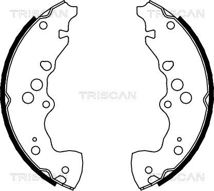 Triscan 8100 69003 - Bremsbackensatz alexcarstop-ersatzteile.com