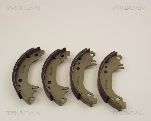 Triscan 8100 10407 - Bremsbackensatz alexcarstop-ersatzteile.com