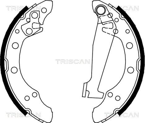 Triscan 8100 10520 - Bremsbackensatz alexcarstop-ersatzteile.com