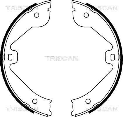 Triscan 8100 10022 - Bremsbackensatz alexcarstop-ersatzteile.com