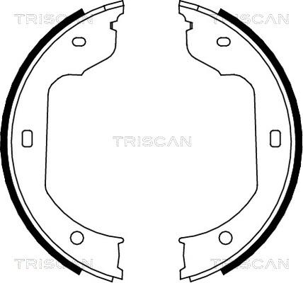 Triscan 8100 11012 - Bremsbackensatz alexcarstop-ersatzteile.com