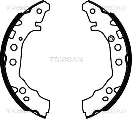 Triscan 8100 13052 - Bremsbackensatz alexcarstop-ersatzteile.com