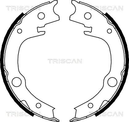 Triscan 8100 13039 - Bremsbackensatz, Feststellbremse alexcarstop-ersatzteile.com