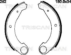 Triscan 8100 38262 - Bremsbackensatz alexcarstop-ersatzteile.com