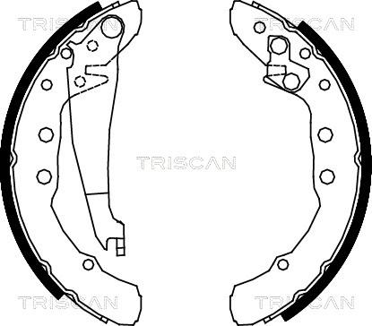 Triscan 8100 29530 - Bremsbackensatz alexcarstop-ersatzteile.com