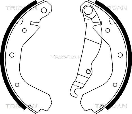 Triscan 8100 24413 - Bremsbackensatz alexcarstop-ersatzteile.com