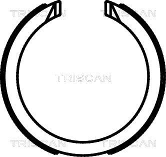 Triscan 8100 21003 - Bremsbackensatz, Feststellbremse alexcarstop-ersatzteile.com