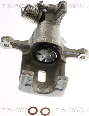 Triscan 8175 14210 - Bremssattel alexcarstop-ersatzteile.com