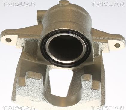 Triscan 8175 10109 - Bremssattel alexcarstop-ersatzteile.com