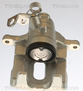 Triscan 8175 10209 - Bremssattel alexcarstop-ersatzteile.com