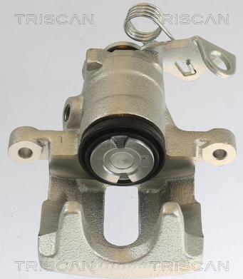 Triscan 8175 10202 - Bremssattel alexcarstop-ersatzteile.com