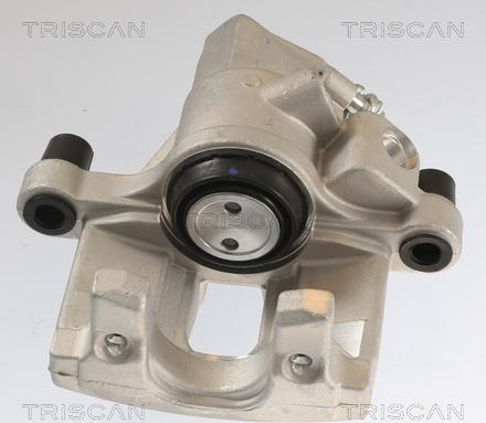 Triscan 8175 10211 - Bremssattel alexcarstop-ersatzteile.com