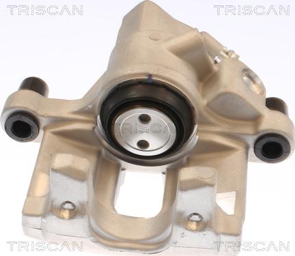 Triscan 8175 10239 - Bremssattel alexcarstop-ersatzteile.com