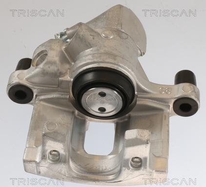 Triscan 8175 10230 - Bremssattel alexcarstop-ersatzteile.com