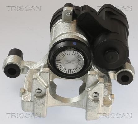 Triscan 8175 29240 - Bremssattel alexcarstop-ersatzteile.com