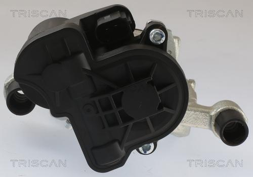 Triscan 8175 29240 - Bremssattel alexcarstop-ersatzteile.com