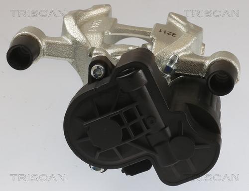 Triscan 8175 29240 - Bremssattel alexcarstop-ersatzteile.com